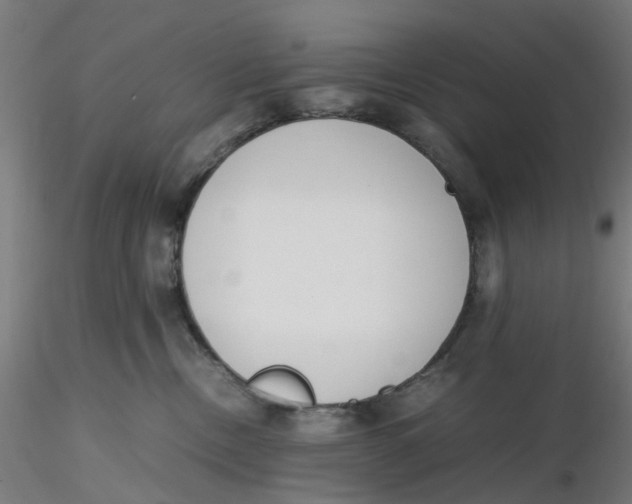 X0000116330378200912221425