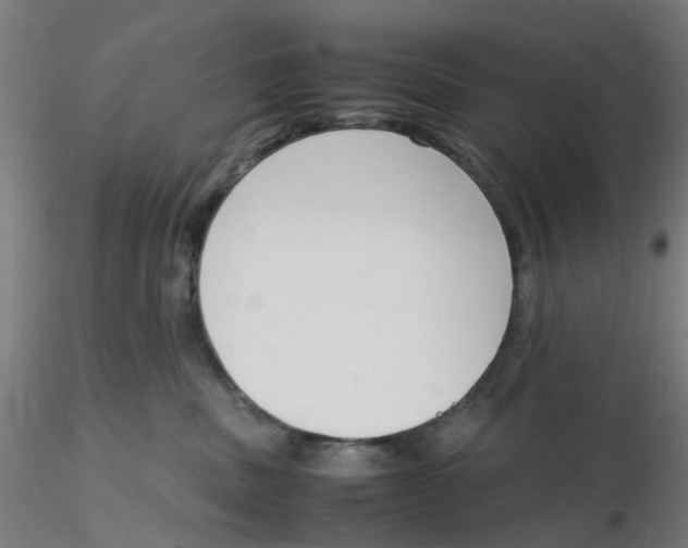 X0000116330379200912221425