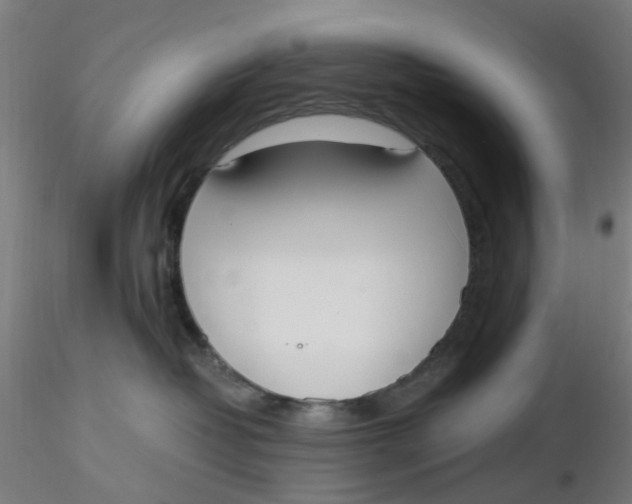 X0000116330382200912221425