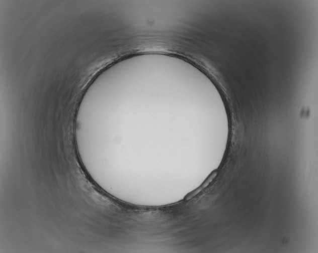 X0000116330385200912221424