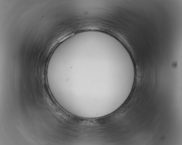 X0000116330386200912221424