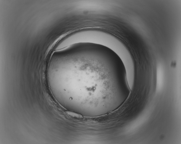 X0000116330387200912221424