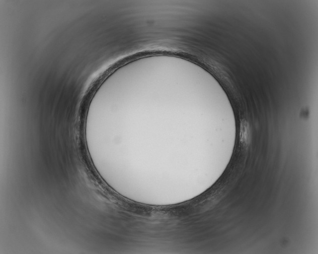 X0000116330388200912221424