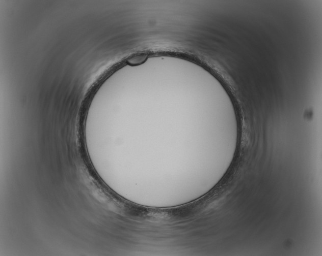 X0000116330391200912221424