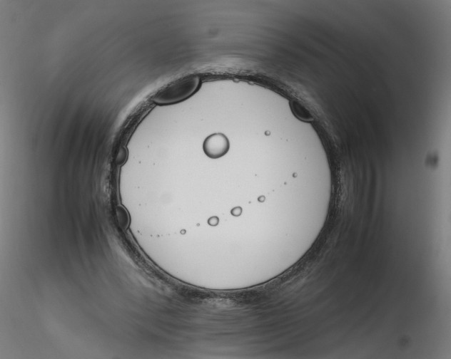 X0000116330392200912221424