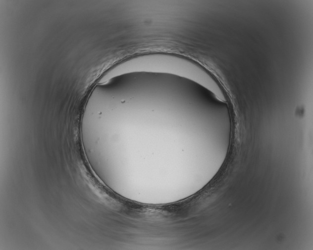 X0000116330393200912221424