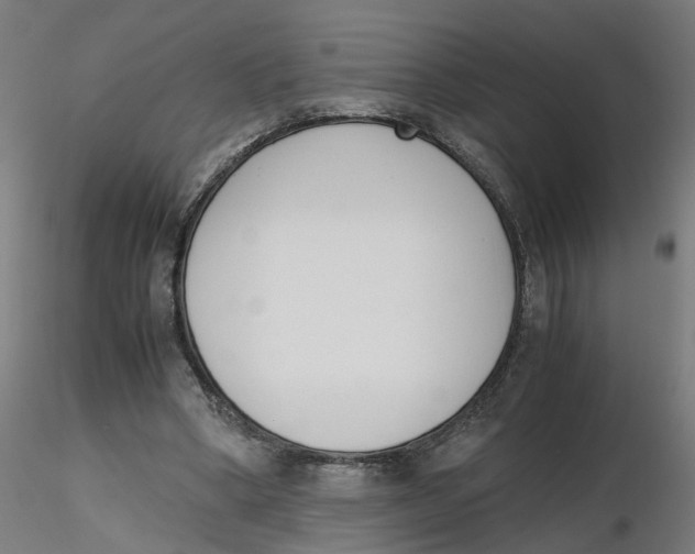 X0000116330394200912221424