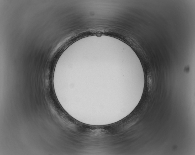 X0000116330396200912221424