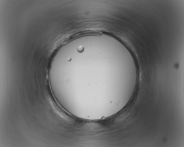 X0000116330397200912221424