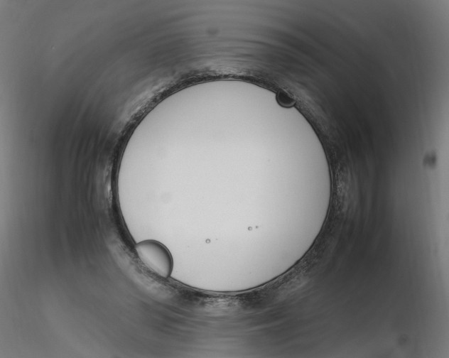 X0000116330398200912221424