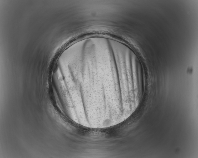 X0000116330399200912221424