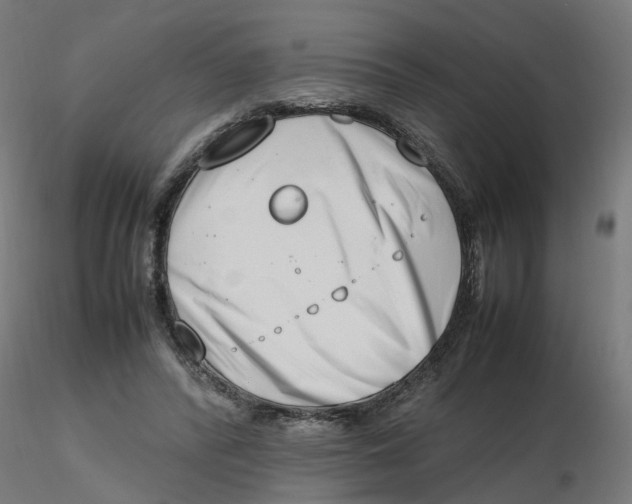 X0000116330400200912221424