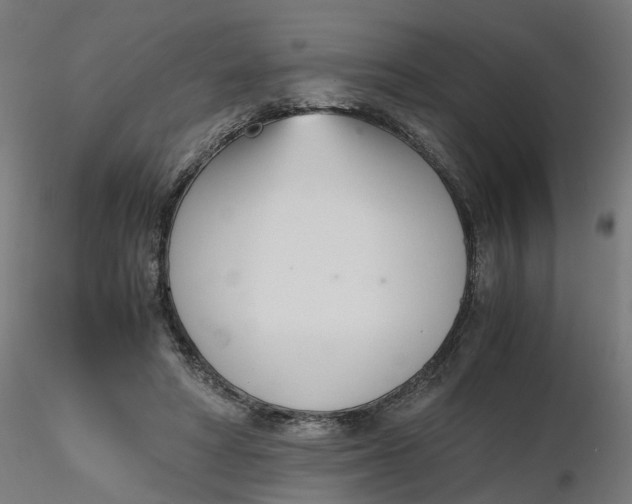 X0000116330402200912221424