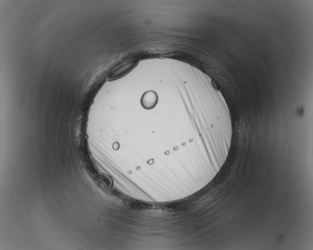 X0000116330404200912221424