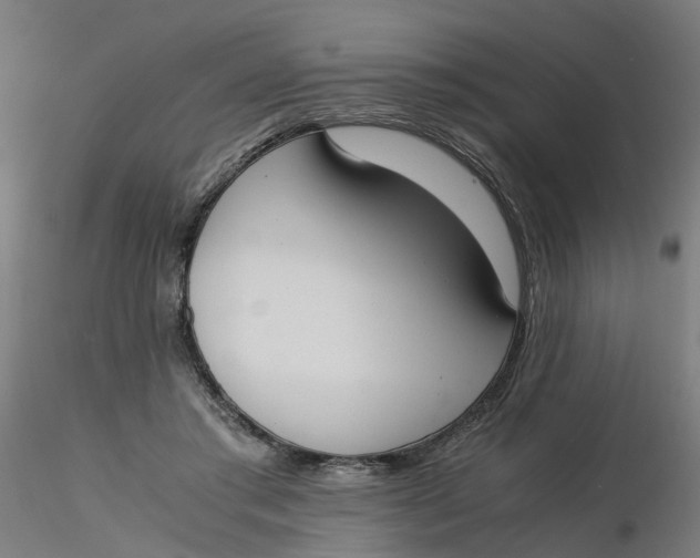 X0000116330405200912221424