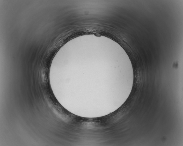 X0000116330408200912221424