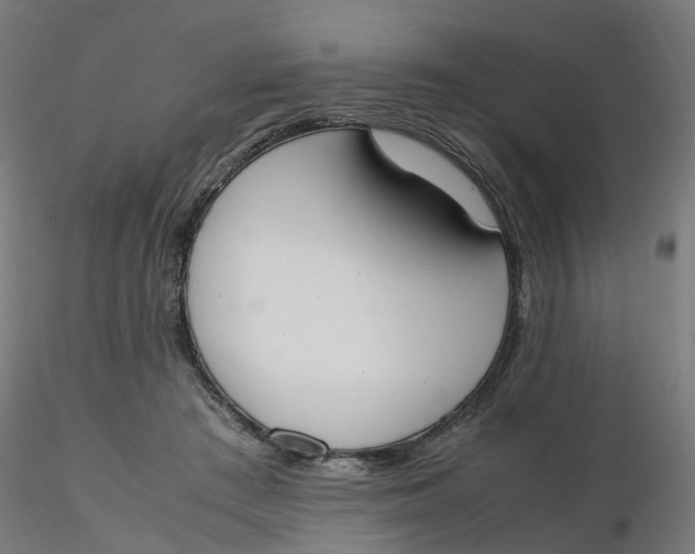 X0000116330409200912221424