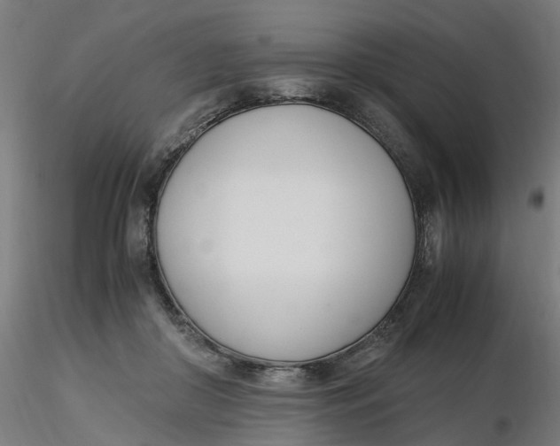 X0000116330410200912221424