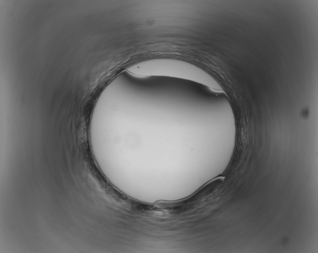 X0000116330411200912221424