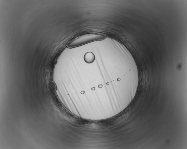 X0000116330412200912221424