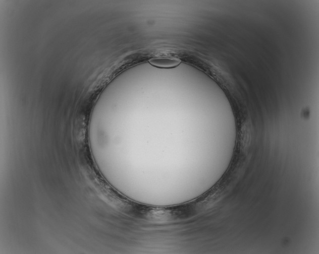 X0000116330413200912221424