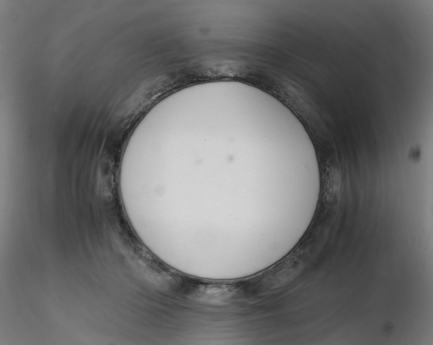 X0000116330414200912221424