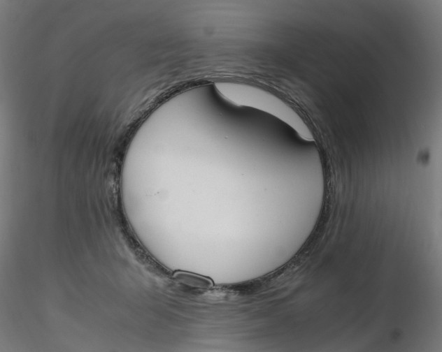 X0000116330415200912221424