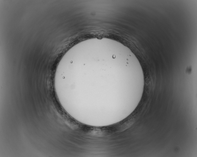 X0000116330416200912221424