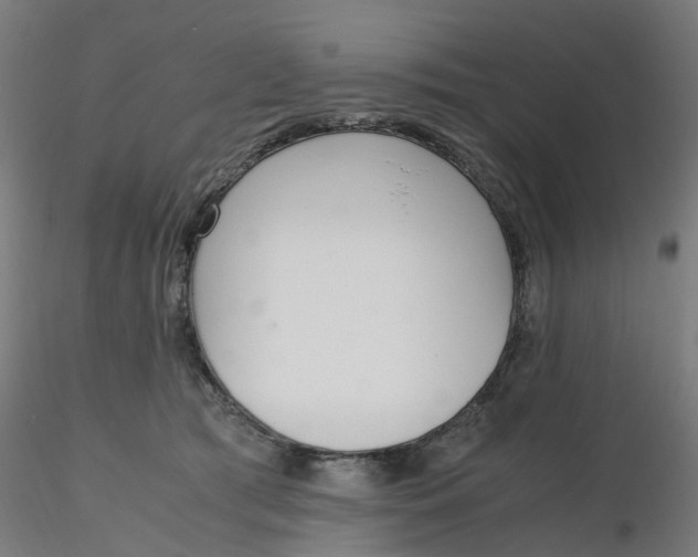 X0000116330417200912221424