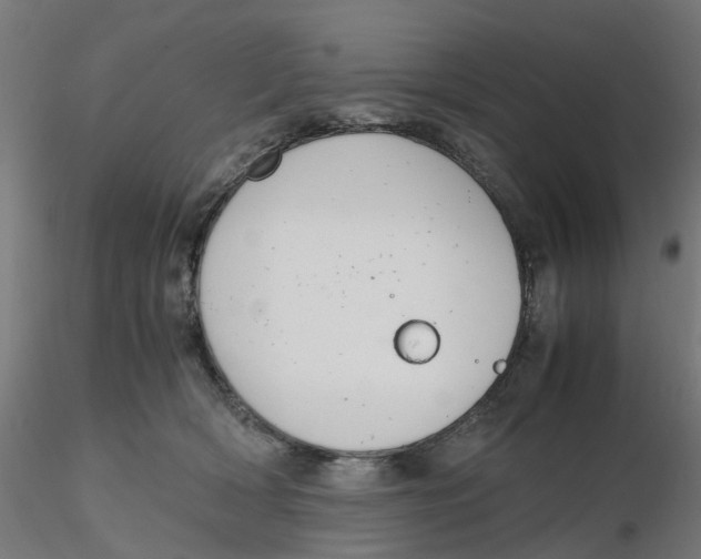 X0000116330418200912221424