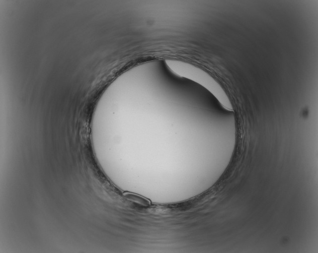 X0000116330419200912221424