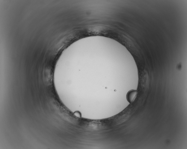 X0000116330420200912221424