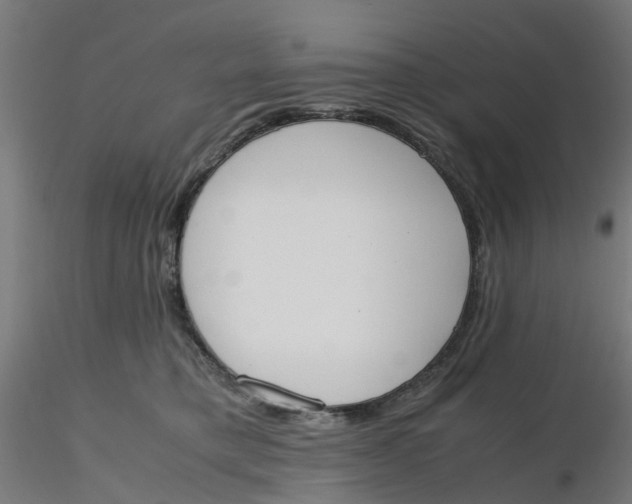 X0000116330421200912221424