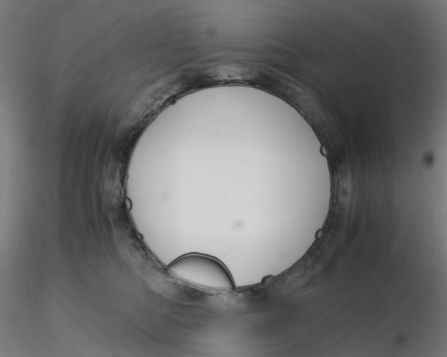 X0000116330422200912221424