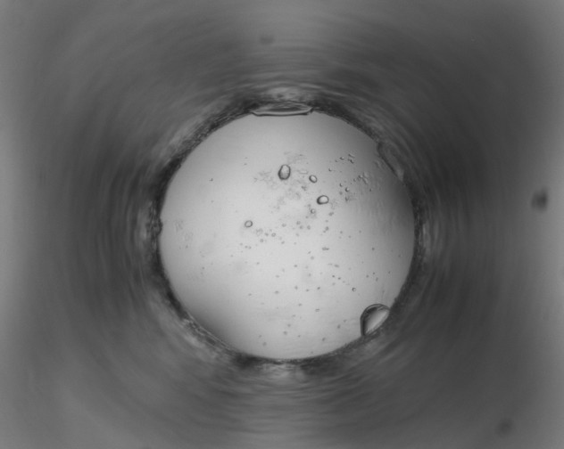 X0000116330424200912221424