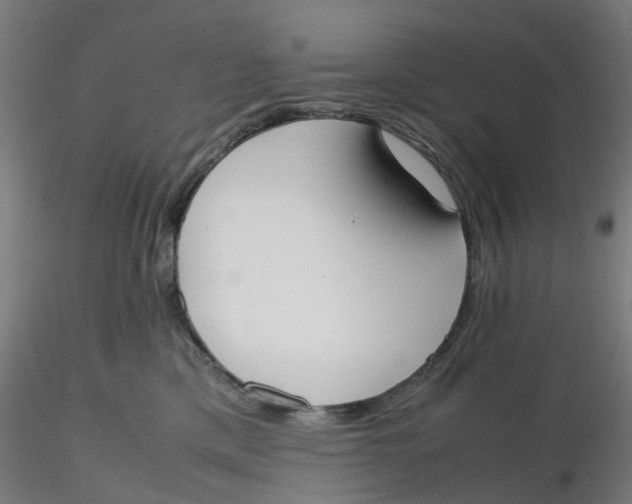 X0000116330425200912221424