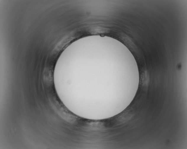 X0000116330426200912221424