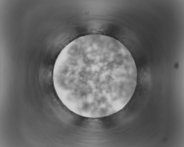 X0000116330427200912221424