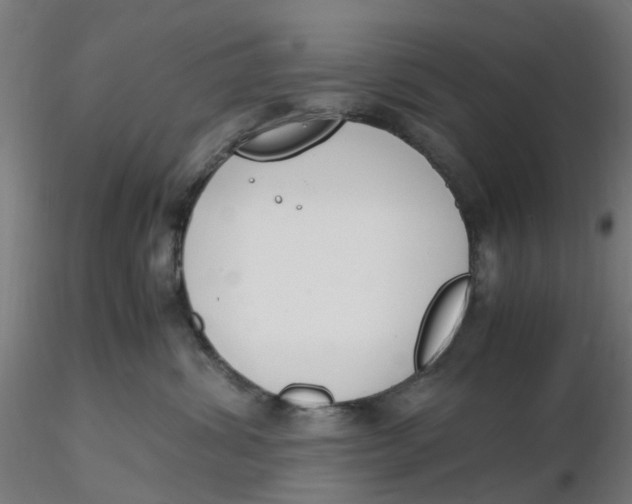 X0000116330428200912221424