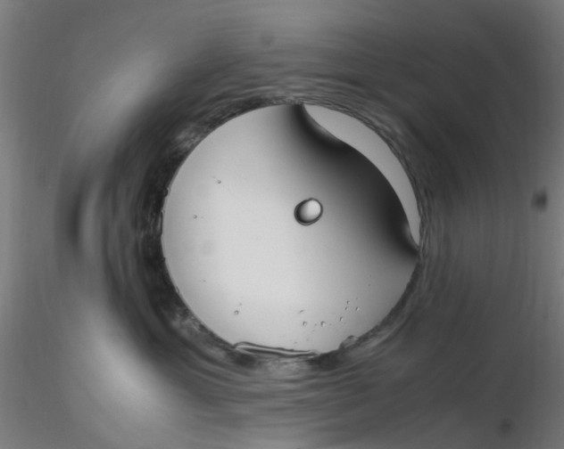 X0000116330429200912221424