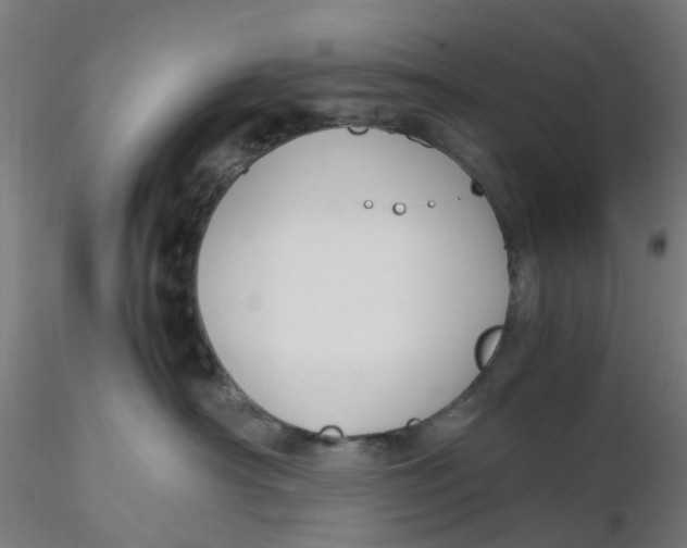 X0000116330430200912221424