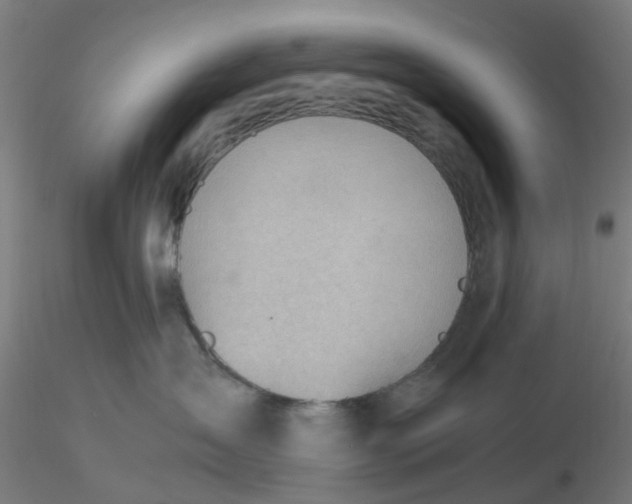 X0000116330431200912221424