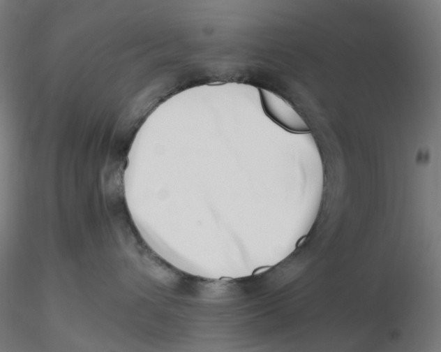 X0000116330432200912221424