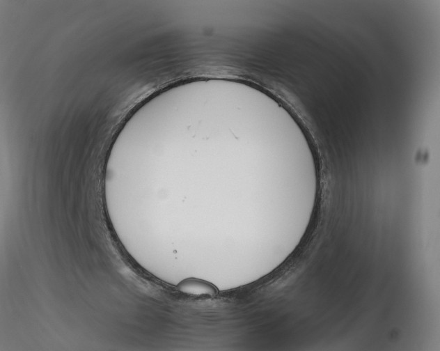 X0000116330433200912221423