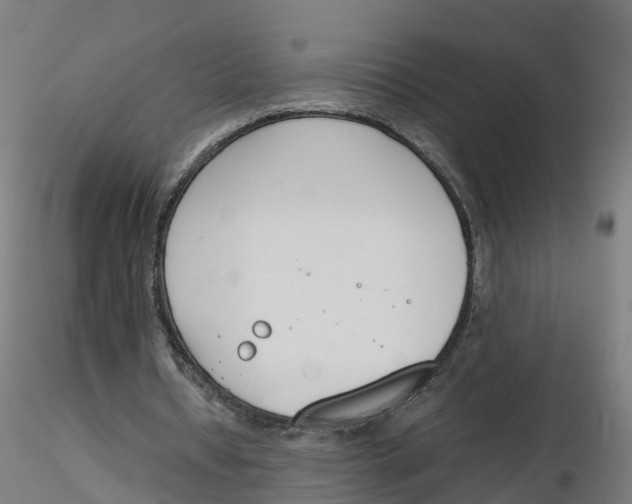 X0000116330434200912221423