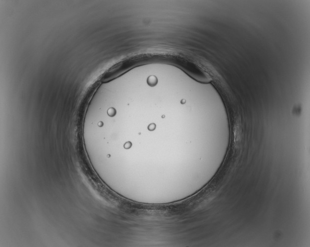 X0000116330436200912221423