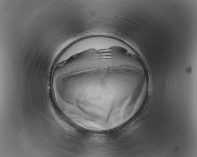 X0000116330438200912221423