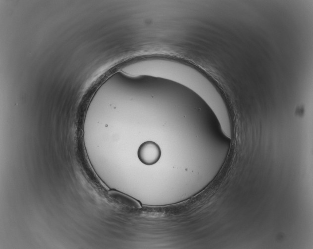 X0000116330440200912221423