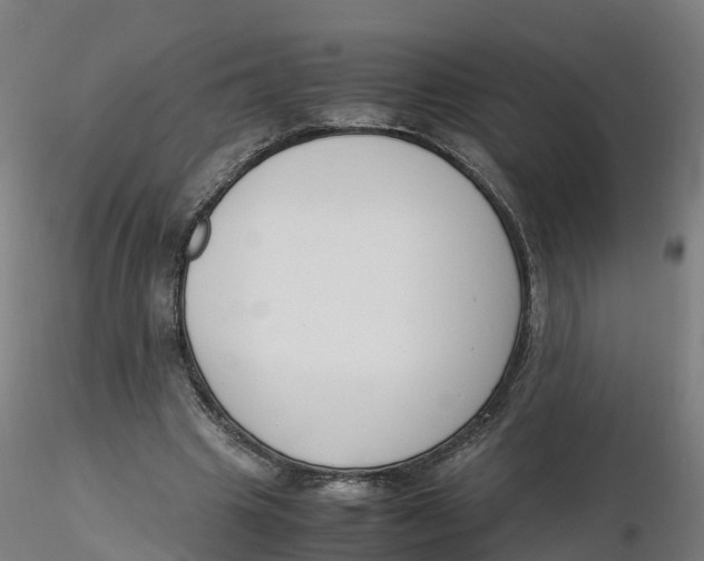 X0000116330441200912221423