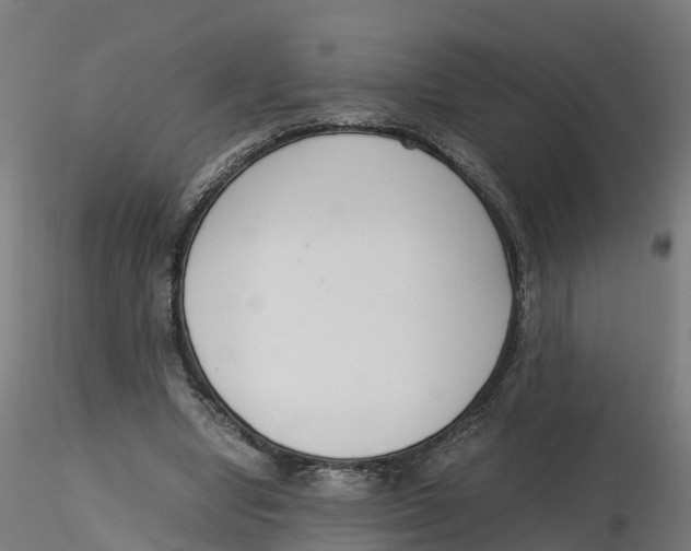 X0000116330442200912221423